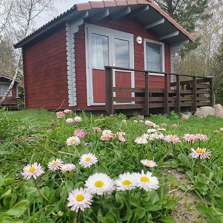 Hotel Paeevatalu Camping à Vilusi Extérieur photo