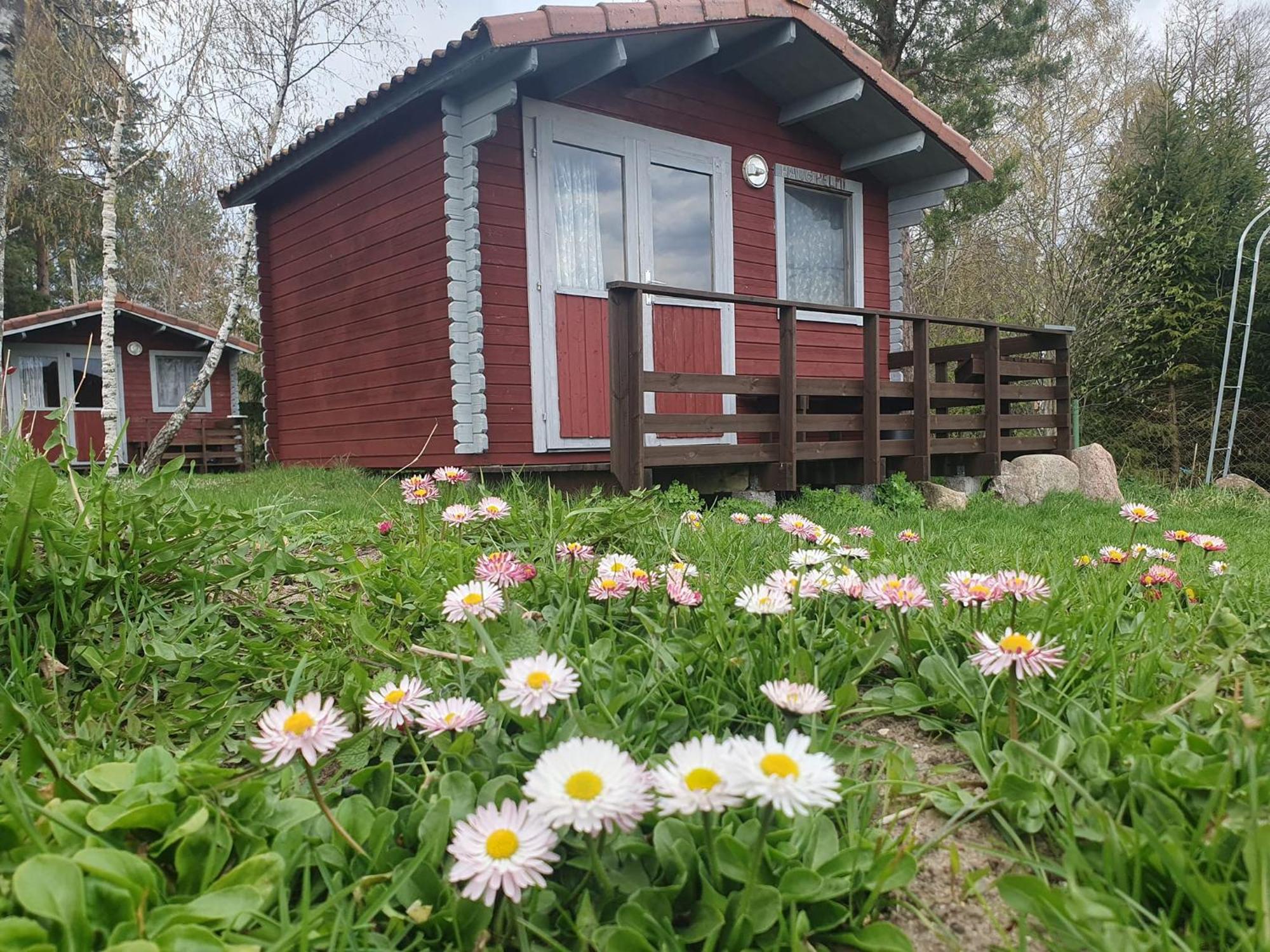 Hotel Paeevatalu Camping à Vilusi Extérieur photo
