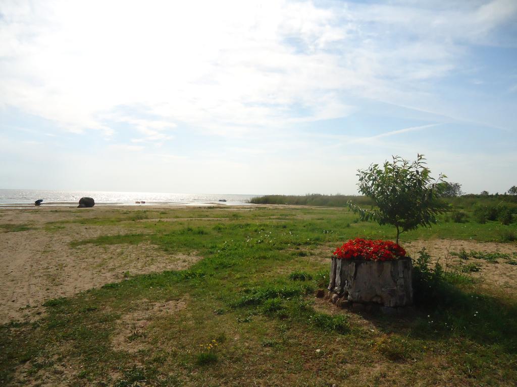 Hotel Paeevatalu Camping à Vilusi Extérieur photo